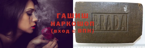 стаф Магас