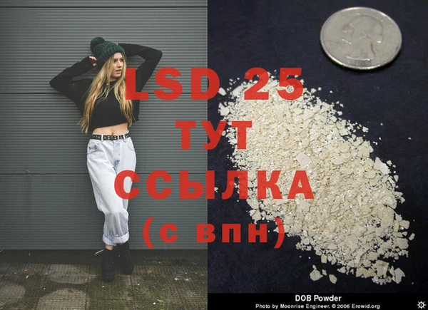 стаф Магас