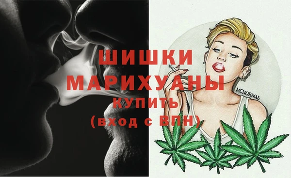 стаф Магас