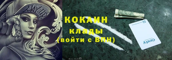 стаф Магас