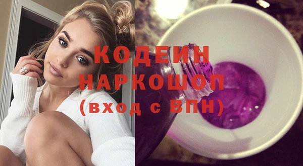 стаф Магас