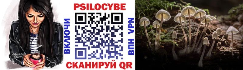 Галлюциногенные грибы мицелий  Купить  Череповец 